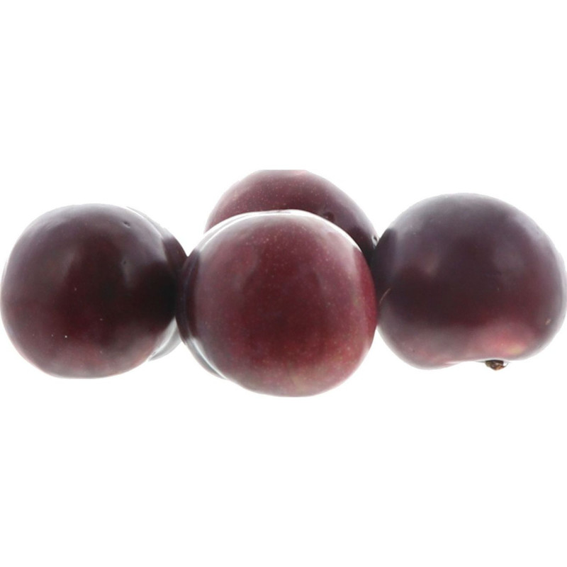 PRUNE NOIRE 5KG